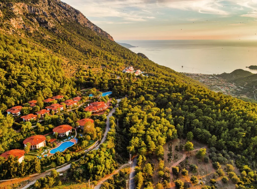 montana pine resort transfer